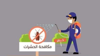 Photo of مكافحة حشرات بالنزهة الكويت || 98072271